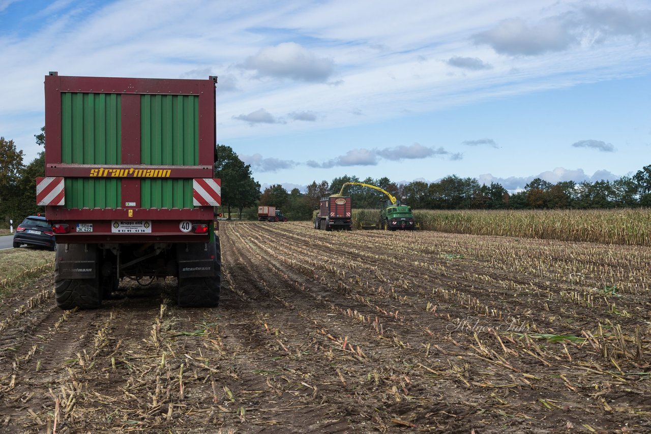 Bild 124 - Maisernte